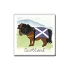 New Scottish Pony Fridge Magnet Fridge Magnets